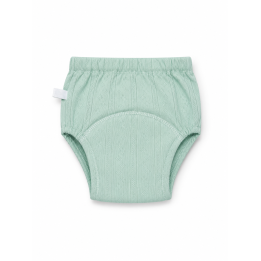 Training Diapers